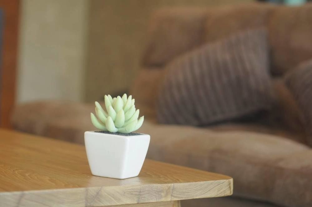 Zzziesta Chiang Mai Bed & Breakfast Dış mekan fotoğraf